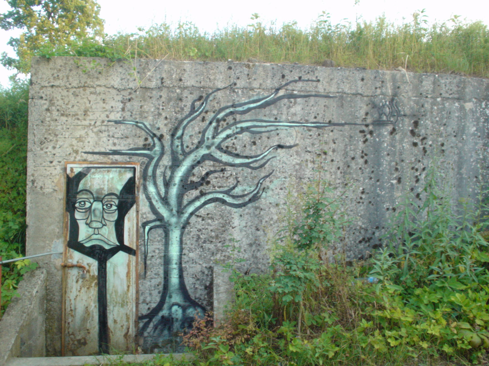 COAL: FONTANA PRATOLUNGO